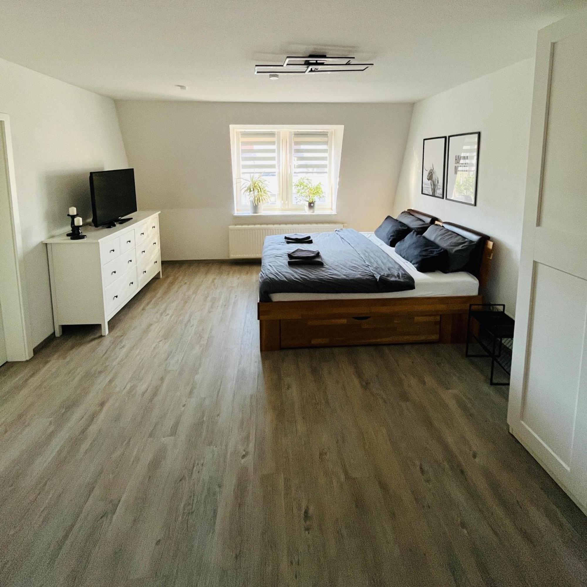 Modernes Cityapartment Naehe Schloss Pillnitz Appartement