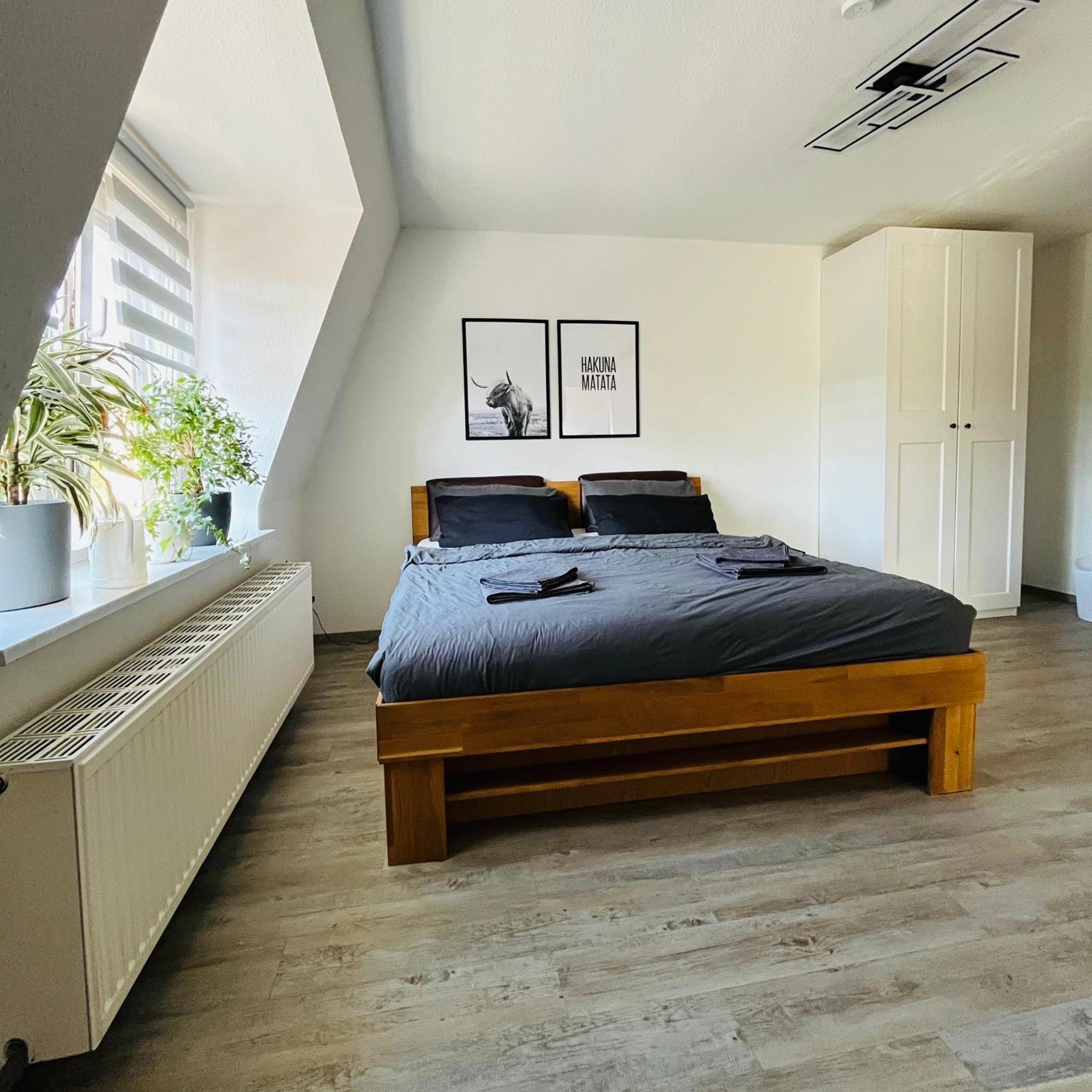 Modernes Cityapartment Naehe Schloss Pillnitz Appartement