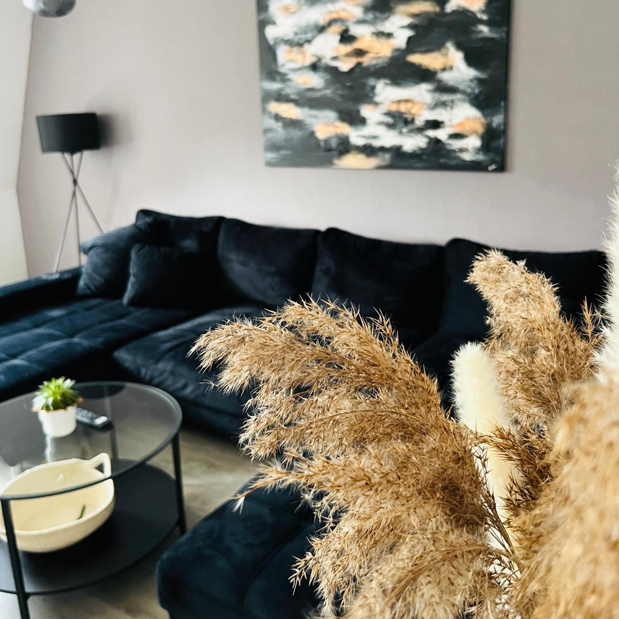 Modernes Cityapartment Naehe Schloss Pillnitz Appartement