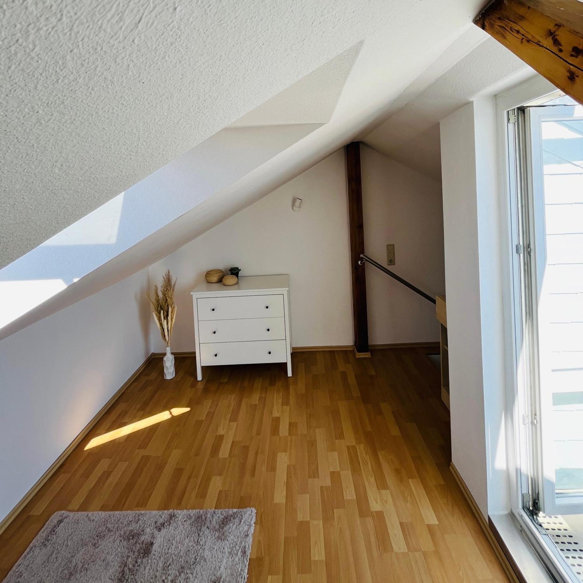 Modernes Cityapartment Naehe Schloss Pillnitz Апартаменты Дрезден